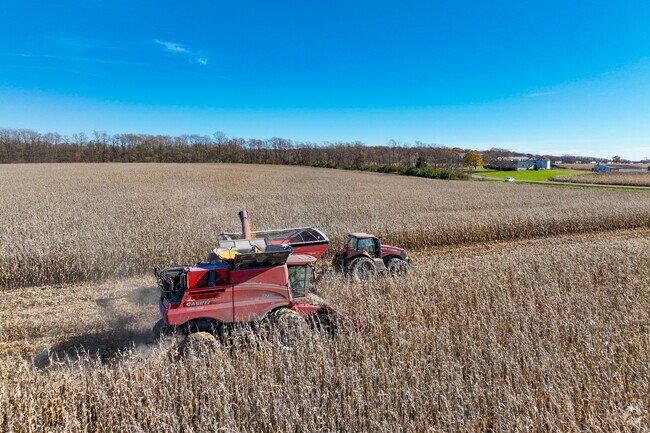 Many residents in Leroy own farms that contribute to the overall growth of the neighborhood.