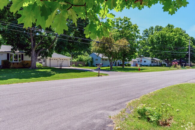 Forest View Park includes homes with large lawns and tree-lines streets.