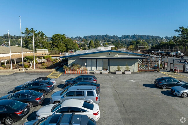 Northern Light School is a dynamic institute of learners, educators and families.