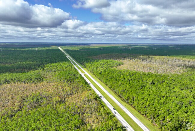 Residents of Greater Daytona use International Speedway in Tiger Bay State Forest.