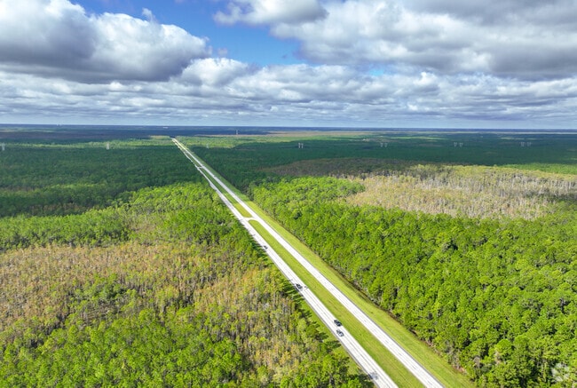 Residents of Greater Daytona use International Speedway in Tiger Bay State Forest.