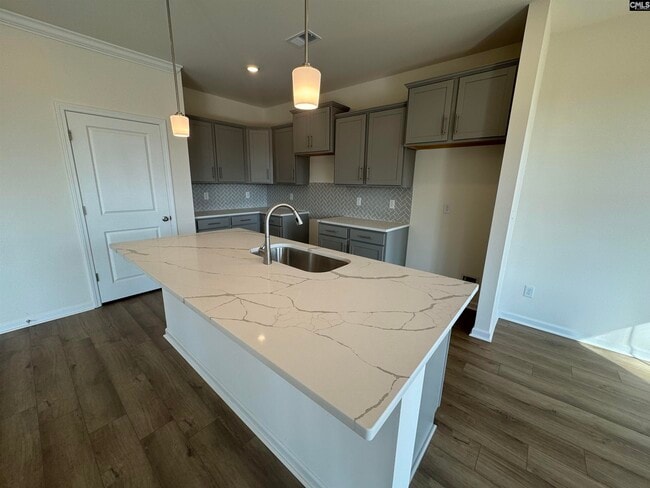 555 Griffon Dr, Chapin, SC 29036 - photo 4