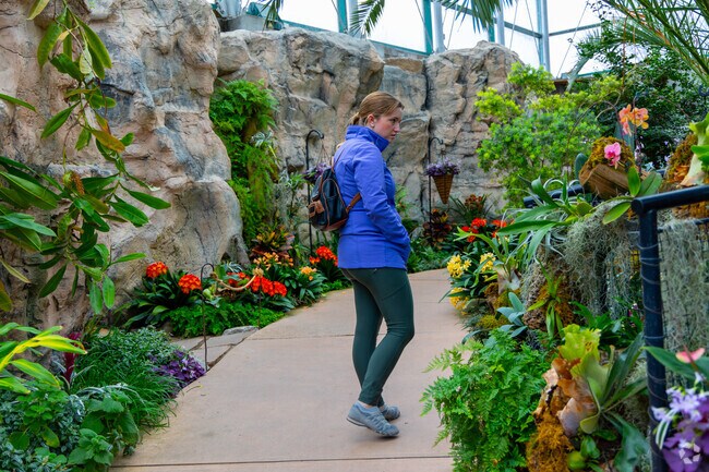 If you enjoy flowers head to West Old Town area's ABQ Bio Park Botanical Gardens.
