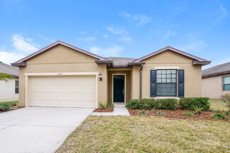 2229 Landside Dr, Valrico, FL 33594