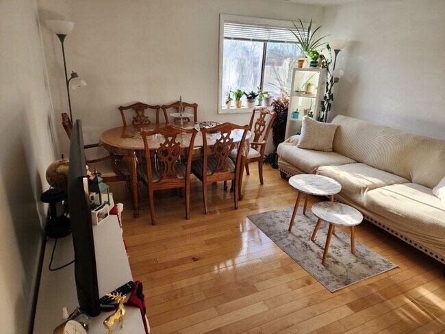 100 E Meadow Rd unit 4, Lowell, MA 01854 - photo 4