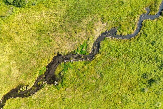 Tichigan Wildlife Area is a haven for wildlife and natural beauty in Waterford.