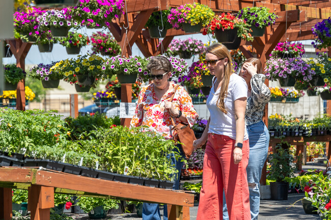 Andover Forest homeowners head to Sunshine Grow Shop for colorful perennials.