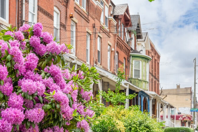 The beautiful flowers along the streets in Mantua blossom with color.