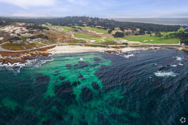In Pebble Beach, California the ocean is crystal clear and inviting to all.