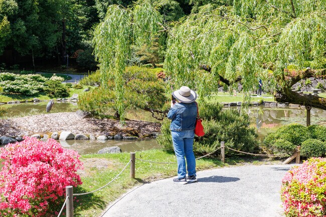 Madison Valley residents find calmness and a connection to nature at the Japanese Garden.