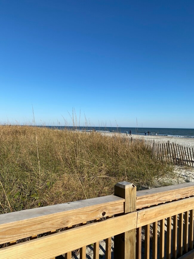 7403 N Ocean Blvd, Myrtle Beach, SC 29572 - photo 4