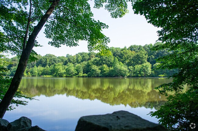 Middle Run Stream Valley Park offers Newington Forest residents a serene outdoor getaway for some recreation.