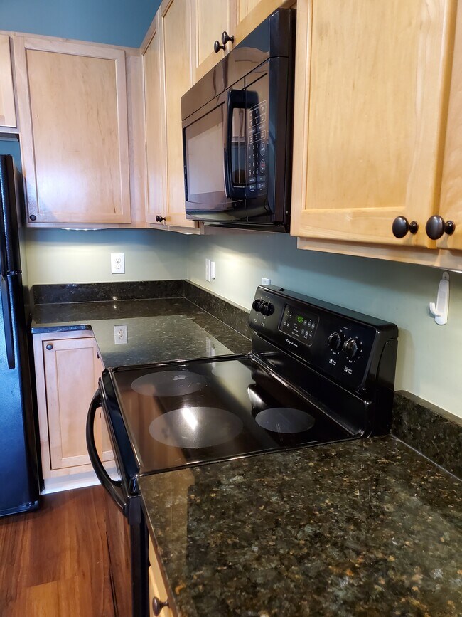 411 W Washington St unit 209, Greensboro, NC 27401 - photo 6