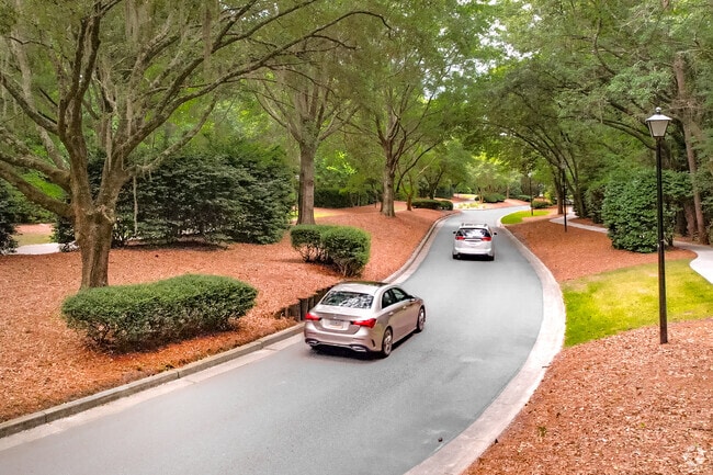 When entering Hobcaw Plantation residents are greeted with large old-growth southern oak trees.