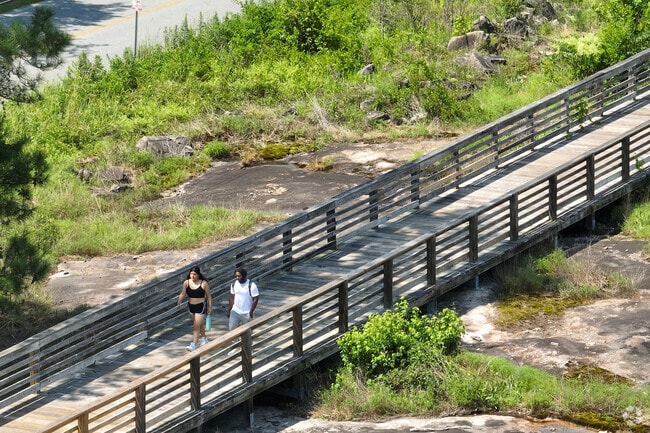 Lithonia's Arabia Mountain National Heritage Area visitors can take a stroll on the boardwalk.