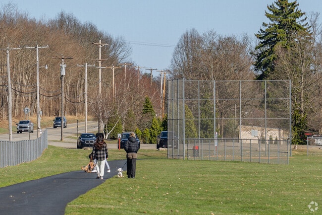 Locals can walk their dogs around the Town of Ellery Park and enjoy some fresh air.