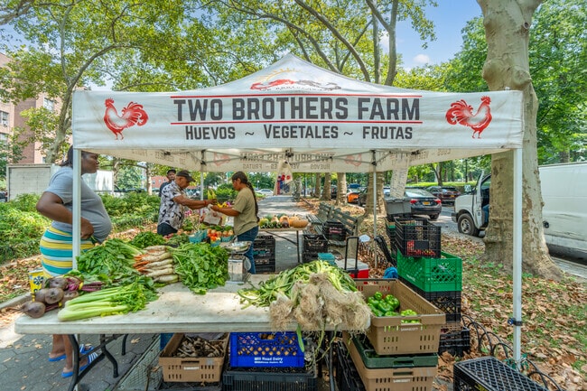 Harvest Home Farmer’s Market provides low-income communities with access to farm local produce.