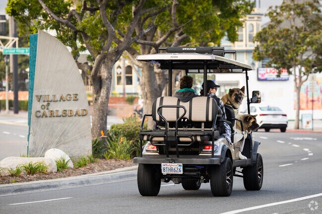 Locals prefer a golf cart to get around and even bring their dog for a ride in Carlsbad.