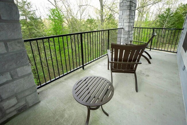 175 Golf View Dr unit ID1267961P, Branson, MO 65616 - photo 5