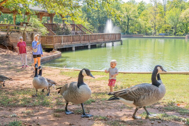 Families enjoy time as young kids play with animals in E.C. Hafer Park.