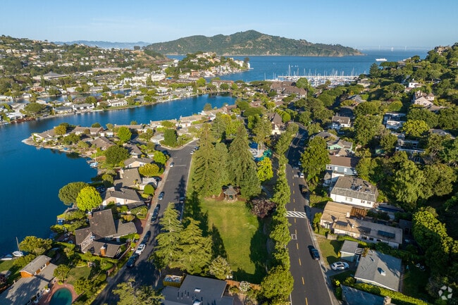 Belvedere Park is surrounded by a beautiful environment in Belvedere.