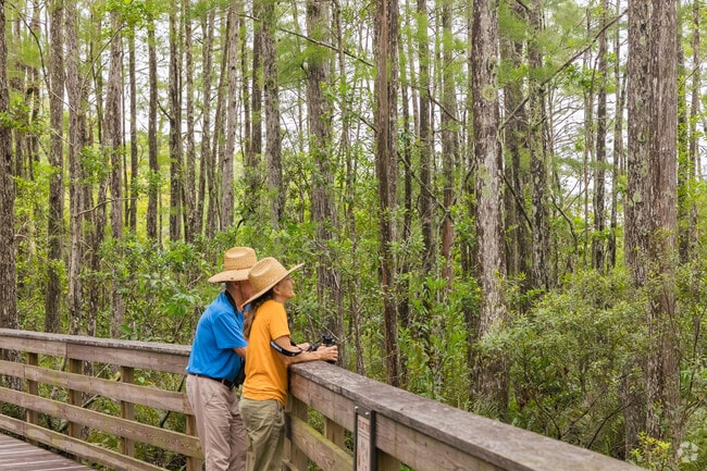 West Palm Beach nature lovers enjoying Grassy Waters Nature Preserve.