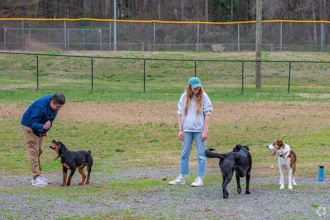 Washington Park dogs love to meet at the off-leash park.