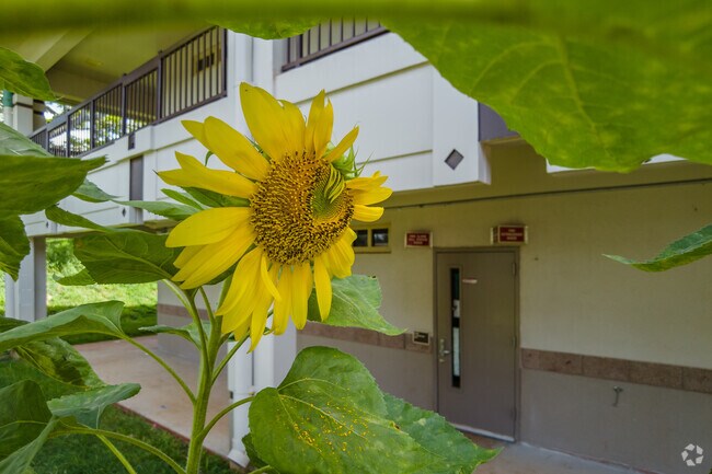 Embrace a supportive community at Waikele Elementary School, empowering young learners.