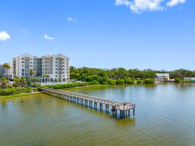 Bainbridge Bayview, Clearwater, FL 33759 - photo 7