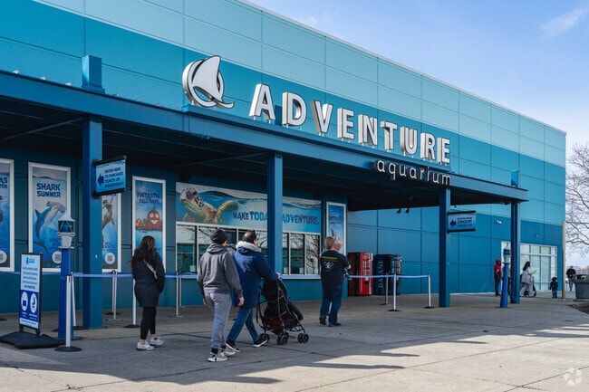 Spend your day at the Adventure Aquarium, one of Cooper Grant's most popular attractions.