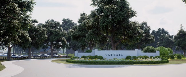 Cattail - The Preserve