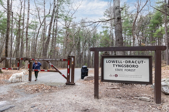 Spread over 3 towns the Lowell Dracut Tyngsboro State forest offers miles of hiking trails.