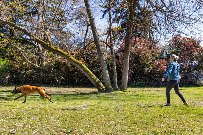 Residents play with their furry friends at Me-Kwa-Mooks Park in Alki.