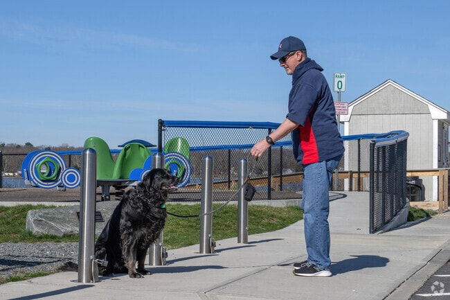 Residents in South Swansea often walk with friends at local parks.