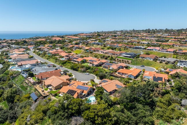 The La Jolla Alta neighborhood offers residents beautiful hillside views.