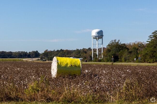 Cotton is one of the exports from many of the agricultural parts of Dalzell.