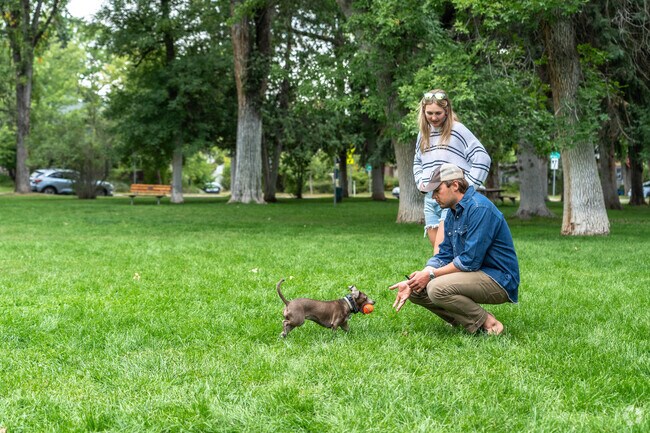 A couple plays fetch with their dog in Cooper Park.