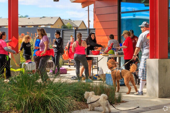 Zaferia is a very social community. Also a very dog friendly neighborhood as well.