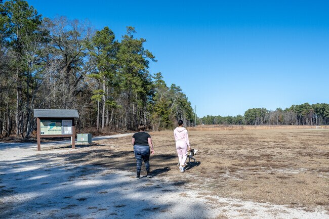 Carvers Creek State Park in Pine Forest is dog-friendly.