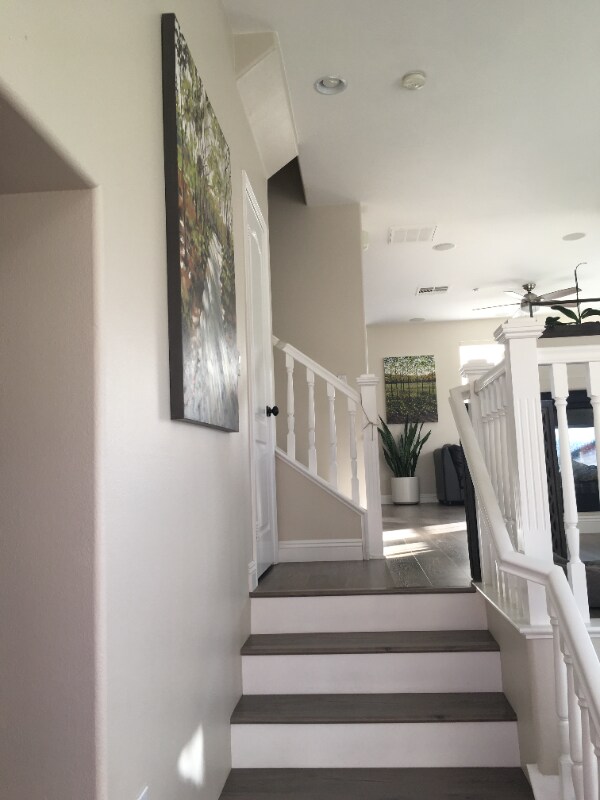 3 Sheridan Ln, Ladera Ranch, CA 92694 - photo 4