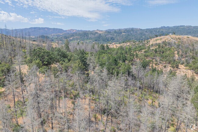 Deer Park was seriously affected by the Hennessey Fire in 2020, which can still be felt in the burned trees throughout the city.