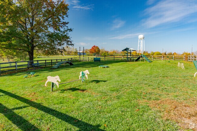 The Walton Community Park offers a dog park with obstacles for dogs.