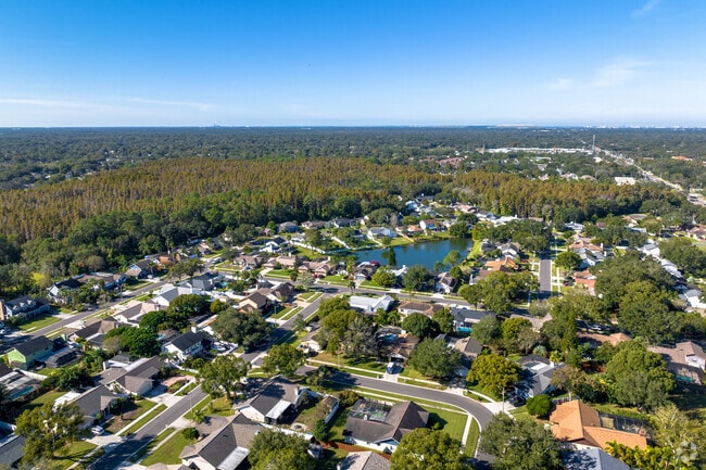 Valrico is a largely suburban neighborhood 15 miles east of Tampa with a small town feel.