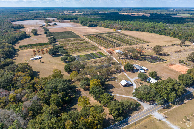 The Outer West Mobile community is well known for its plant nurseries cultivating the bushes.
