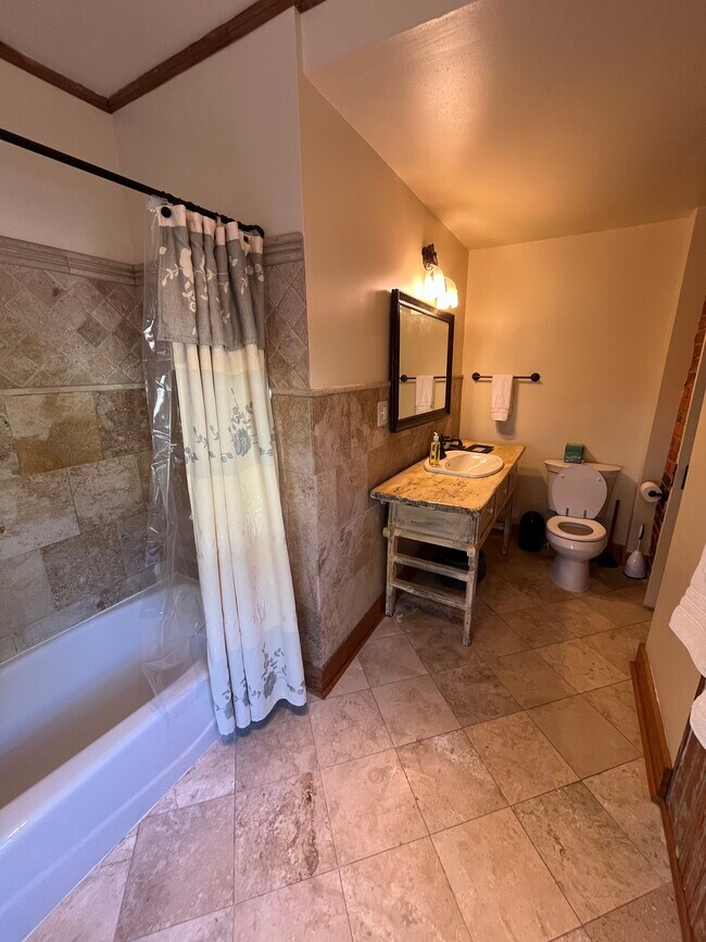 147 E Chestnut St unit 10, Asheville, NC 28801 - photo 7