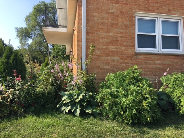 Side of the house