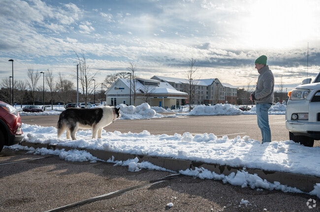 Pause for a dog break at Quonset Business Plaza in North Kingstown.