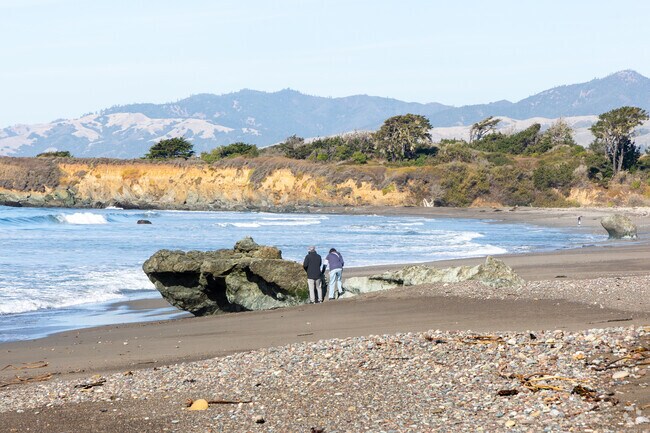 San Simeon is full of many beauitful beaches.