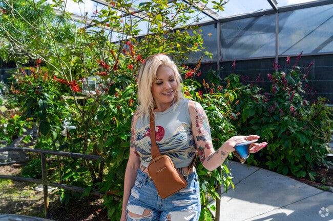 Immerse yourself in the enchanting World of Butterflies Park.