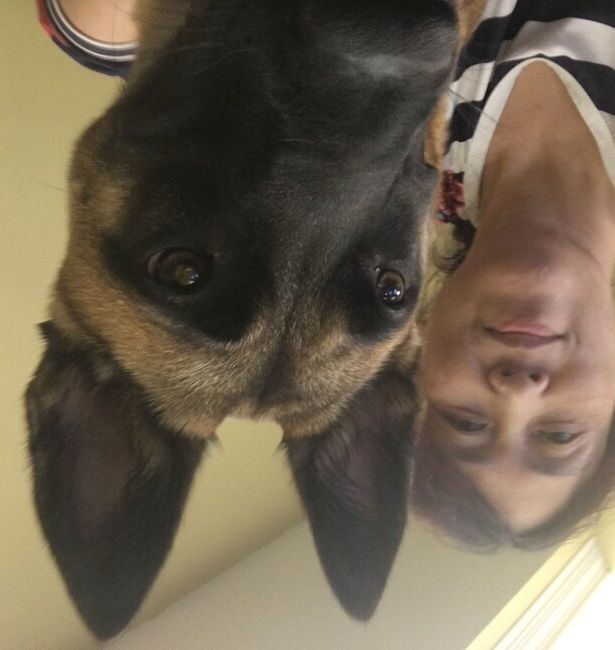 Agent Photo